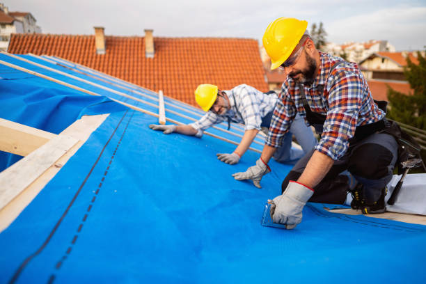 Best Flat Roof Repair Services  in Falls Church, VA