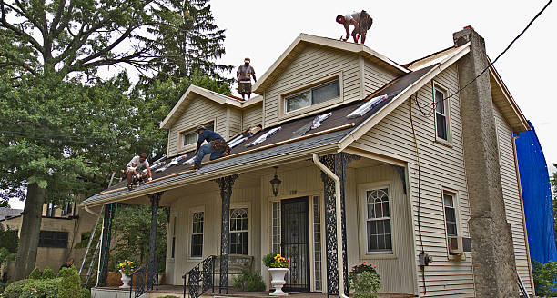 Best Roof Gutter Cleaning  in Falls Church, VA